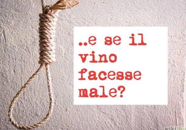 E se ti dicessi che bere vino non fa bene?